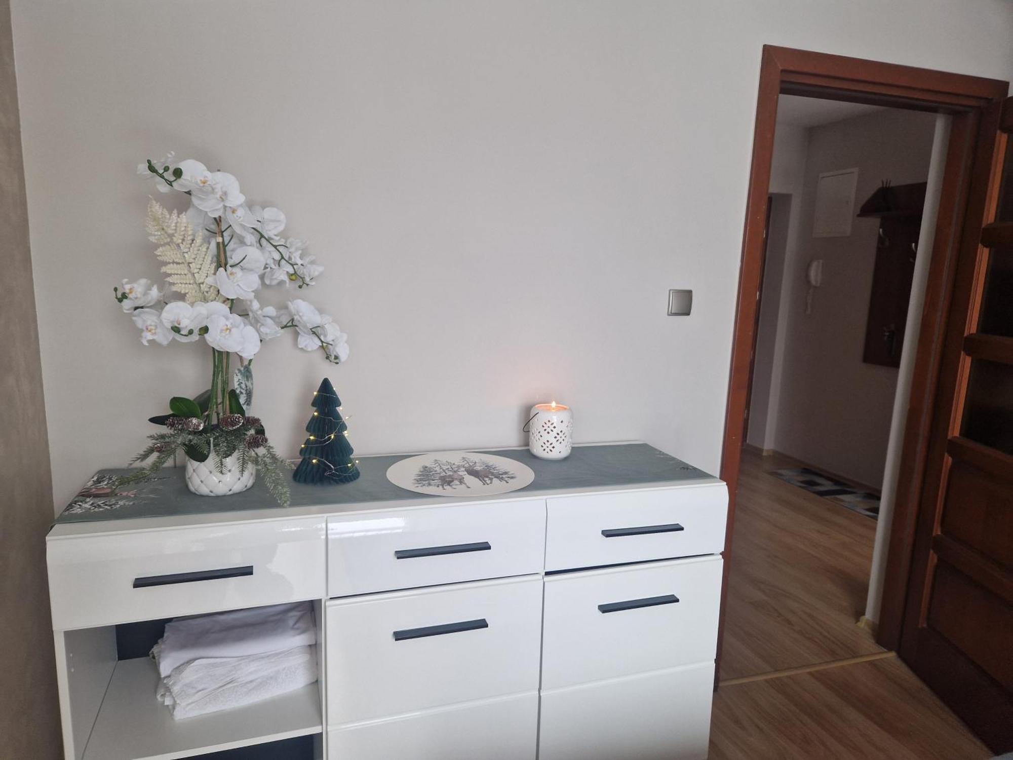 Apartament Kasprowy Kościelisko Exteriér fotografie