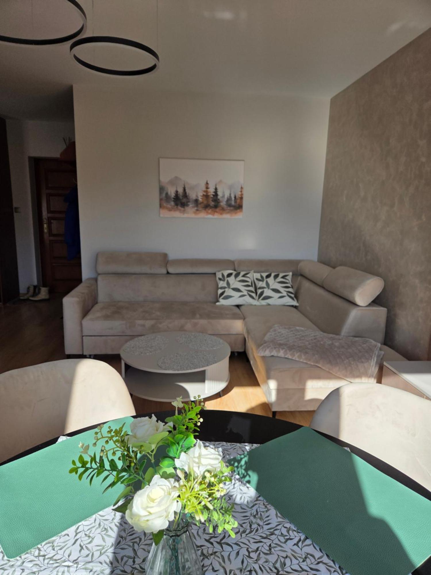 Apartament Kasprowy Kościelisko Exteriér fotografie