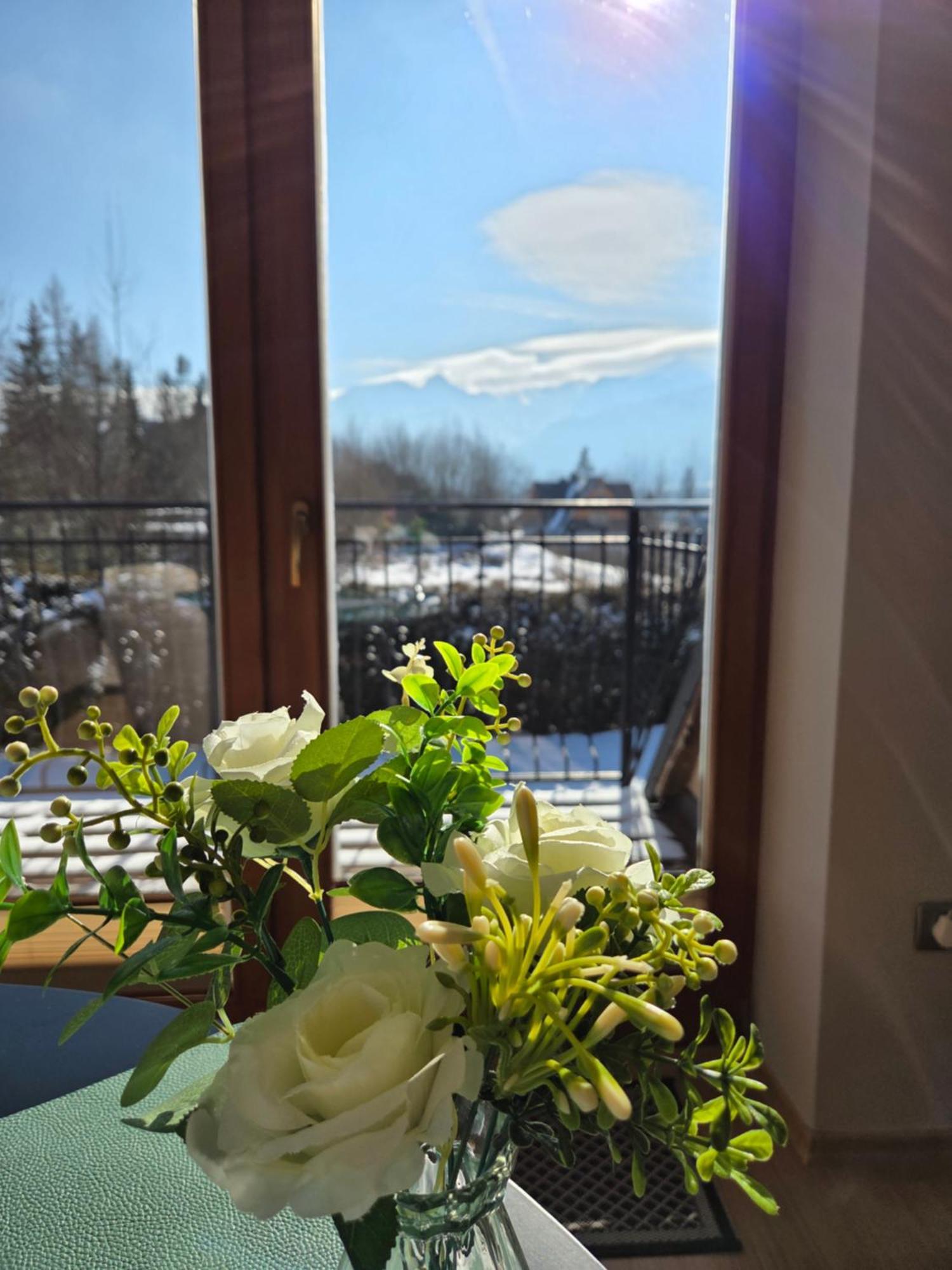 Apartament Kasprowy Kościelisko Exteriér fotografie